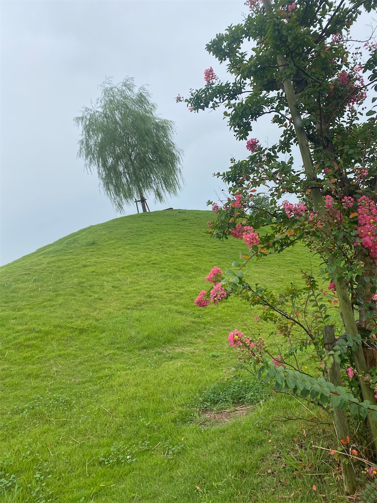 芝に覆われた小高い丘
