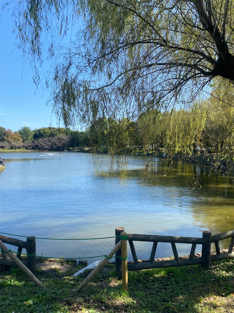 池の画像