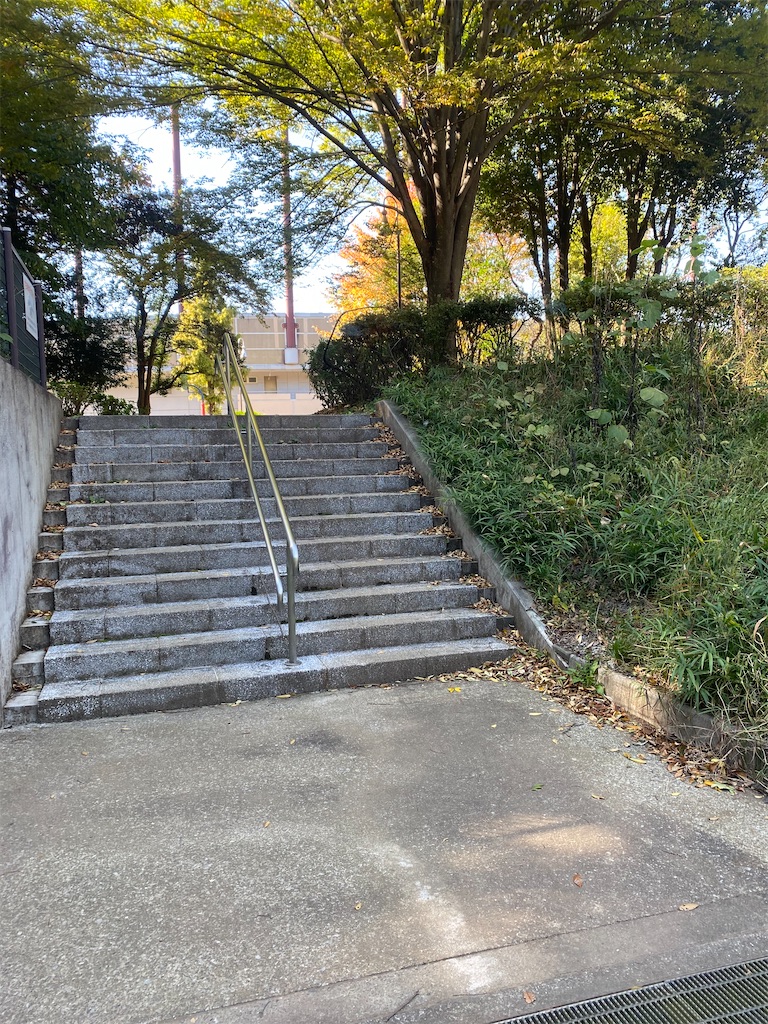 階段が見える