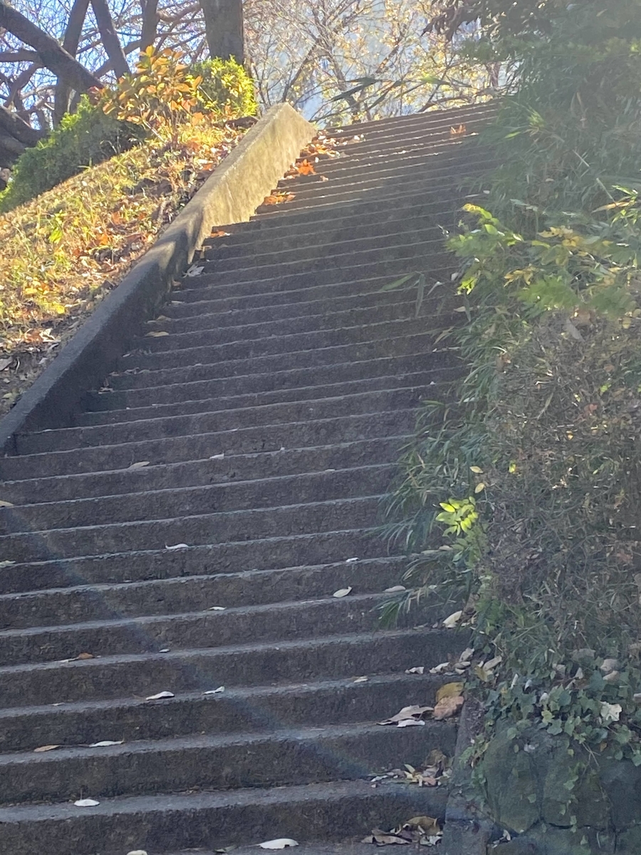 外にある階段