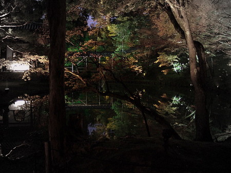 f:id:karaage:20070407183630j:image