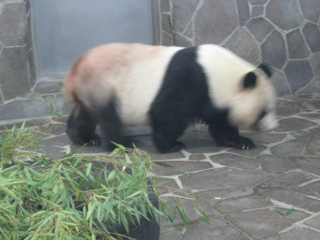 f:id:karaage:20110817133646j:plain:w640