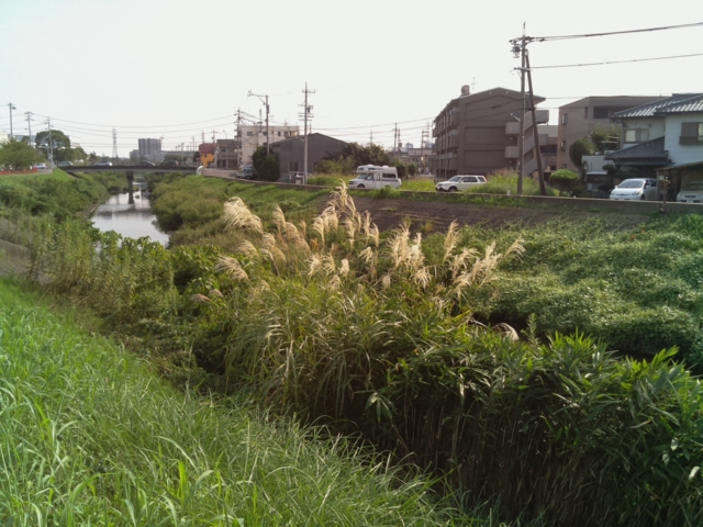 f:id:karaage:20140921132943j:plain