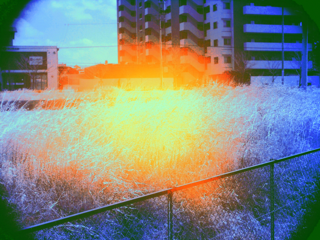 f:id:karaage:20160221221437j:plain:w640