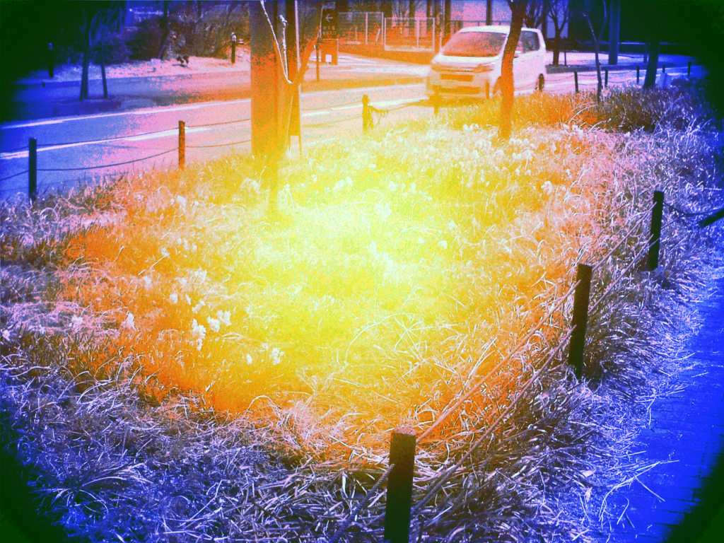 f:id:karaage:20160221221438j:plain:w640