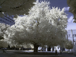 f:id:karaage:20160413001133j:plain:w640 f:id:karaage:20160413001133j:plain:w640