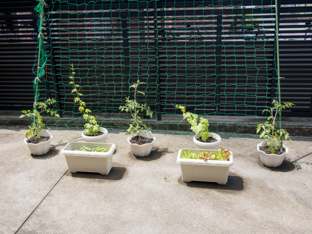 f:id:karaage:20160529102912j:plain:w640