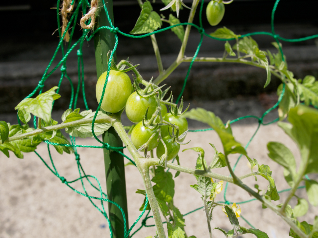 f:id:karaage:20160529102940j:plain:w640 f:id:karaage:20160529102940j:plain:w640