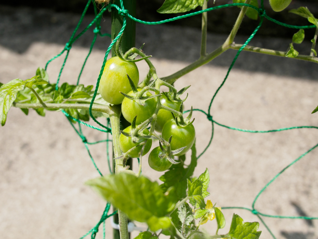 f:id:karaage:20160529103034j:plain:w640 f:id:karaage:20160529103034j:plain:w640