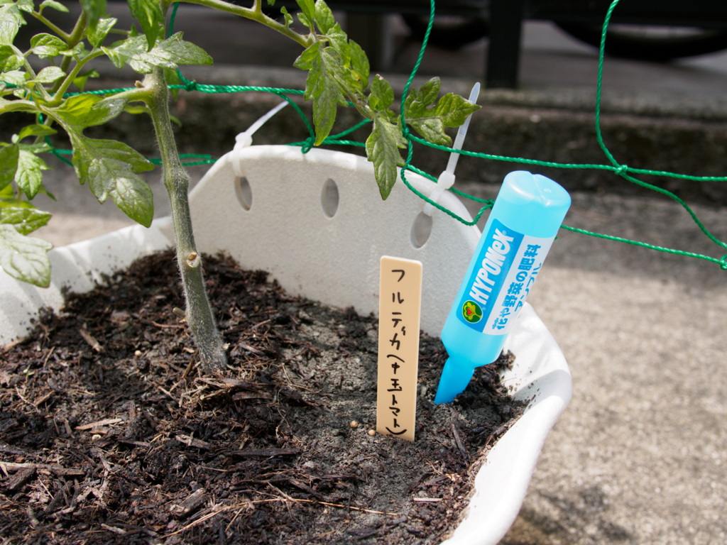 f:id:karaage:20160529105417j:plain:w640 f:id:karaage:20160529105417j:plain:w640