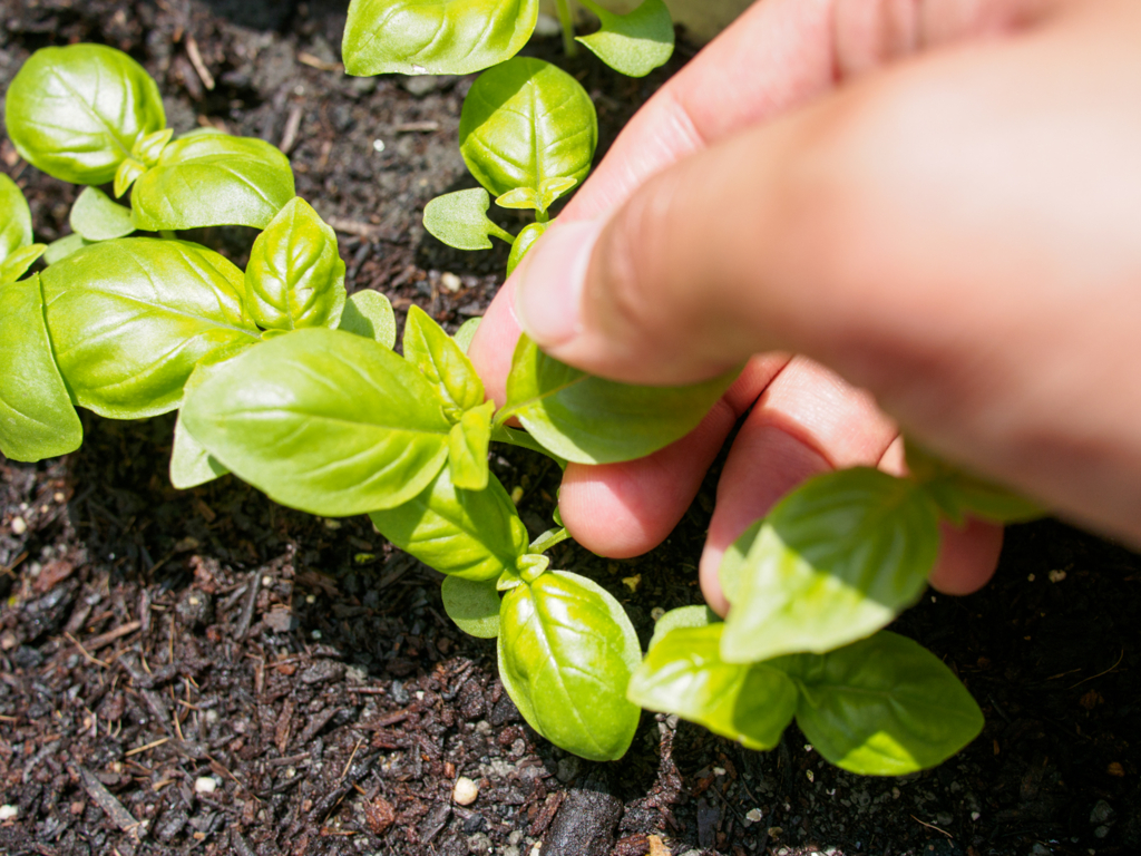 f:id:karaage:20160529113807j:plain:w640 f:id:karaage:20160529113807j:plain:w640