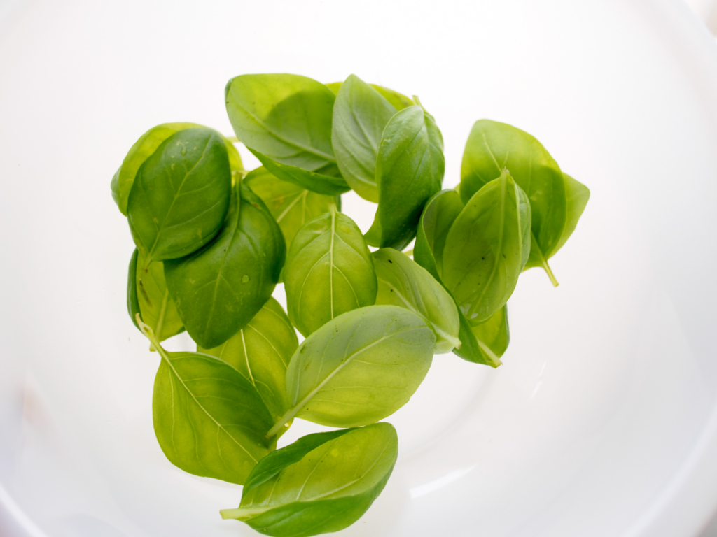 f:id:karaage:20160529114033j:plain:w640 f:id:karaage:20160529114033j:plain:w640