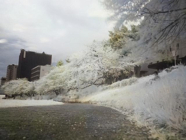 f:id:karaage:20160612110945j:plain:w640 f:id:karaage:20160612110945j:plain:w640