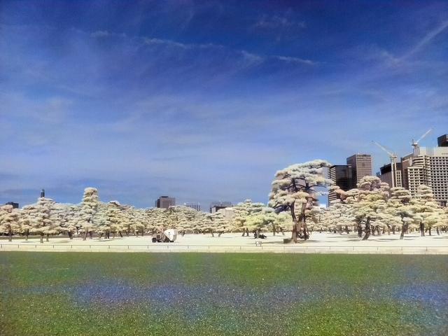 f:id:karaage:20160612110946j:plain:w640 f:id:karaage:20160612110946j:plain:w640