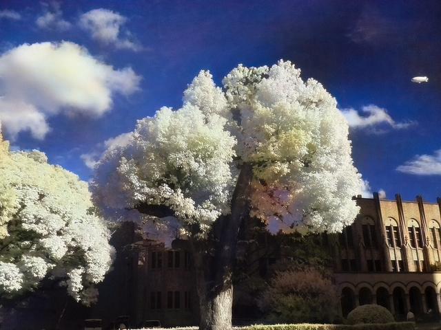 f:id:karaage:20160612110948j:plain:w640 f:id:karaage:20160612110948j:plain:w640