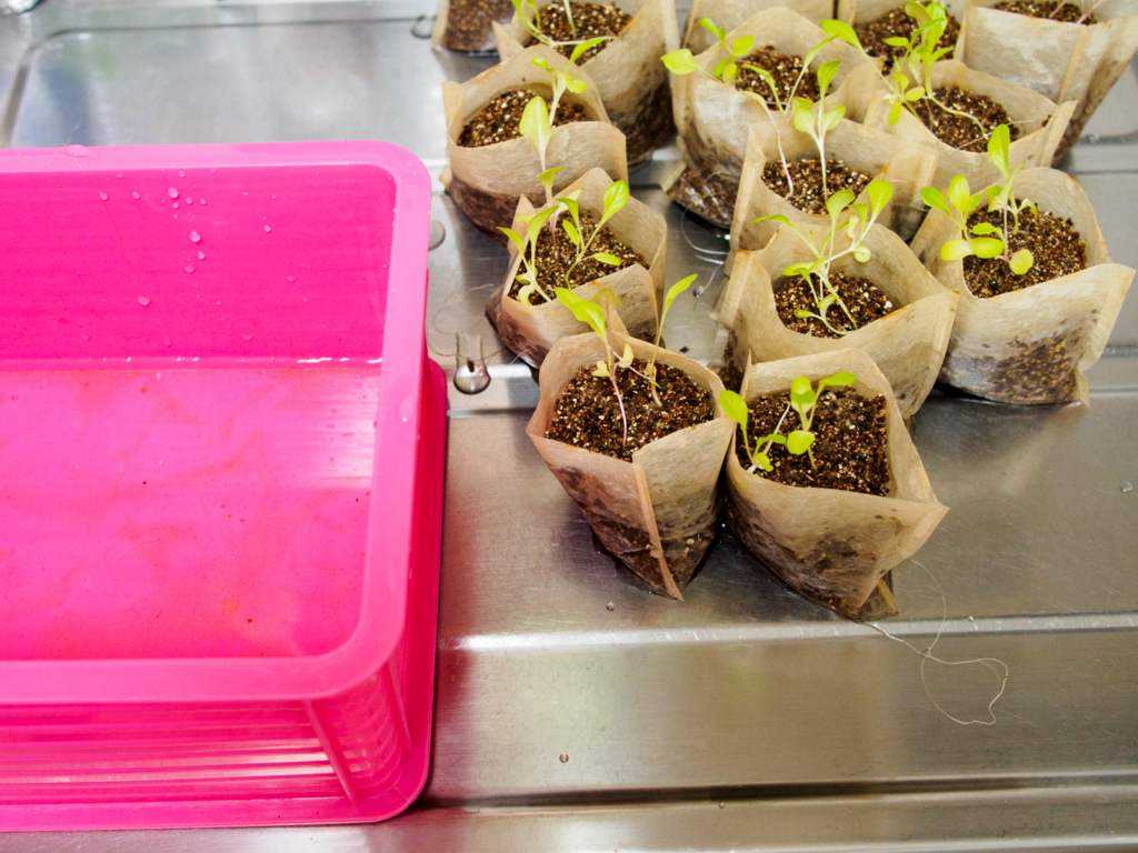 f:id:karaage:20160723150646j:plain:w640 f:id:karaage:20160723150646j:plain:w640