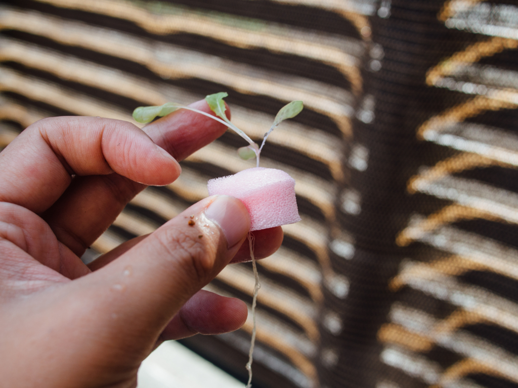 f:id:karaage:20160723155840j:plain:w640