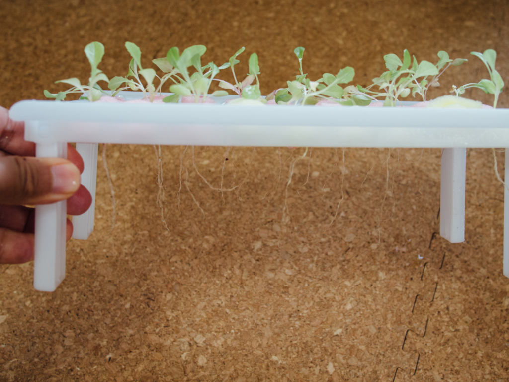 f:id:karaage:20160723163115j:plain:w640