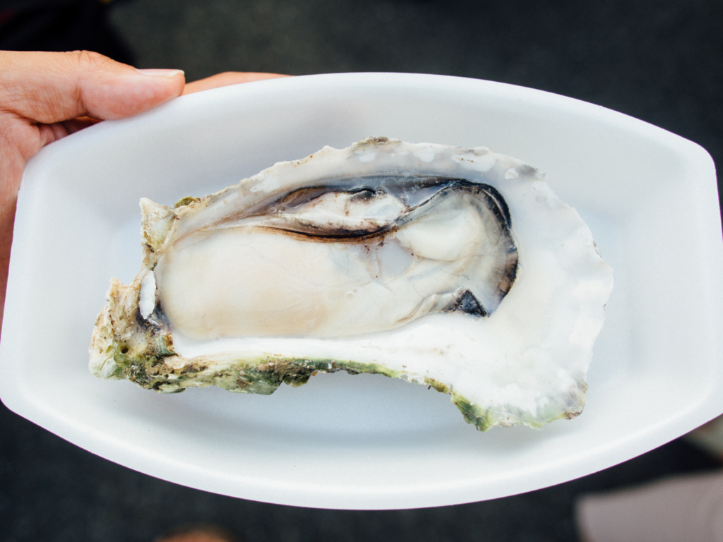 f:id:karaage:20160910172114j:plain:w640