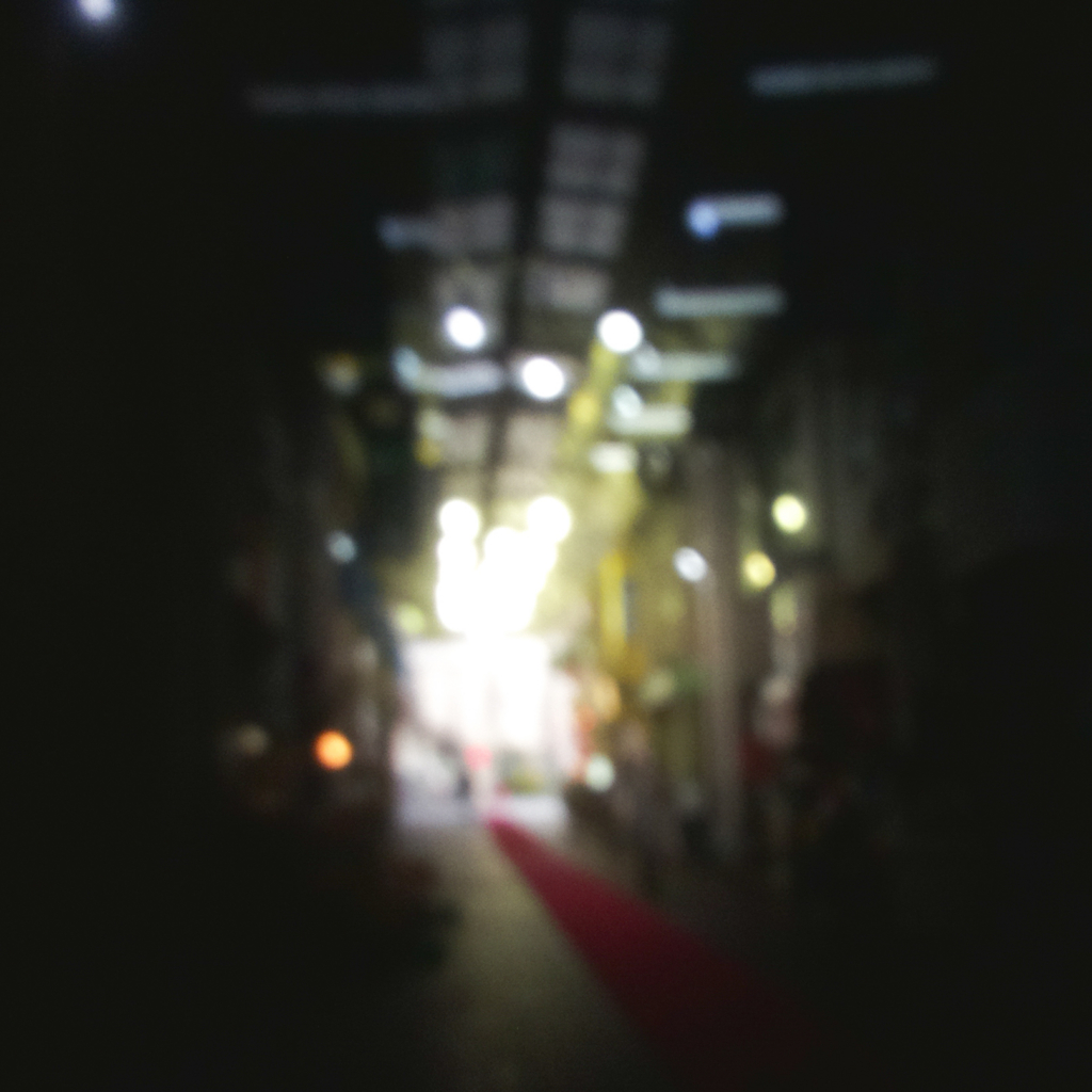 f:id:karaage:20161118222951j:plain:w640