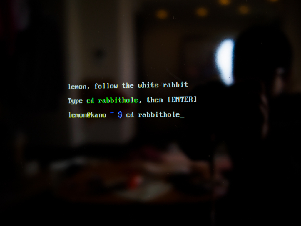 f:id:karaage:20170128140630j:plain:w640