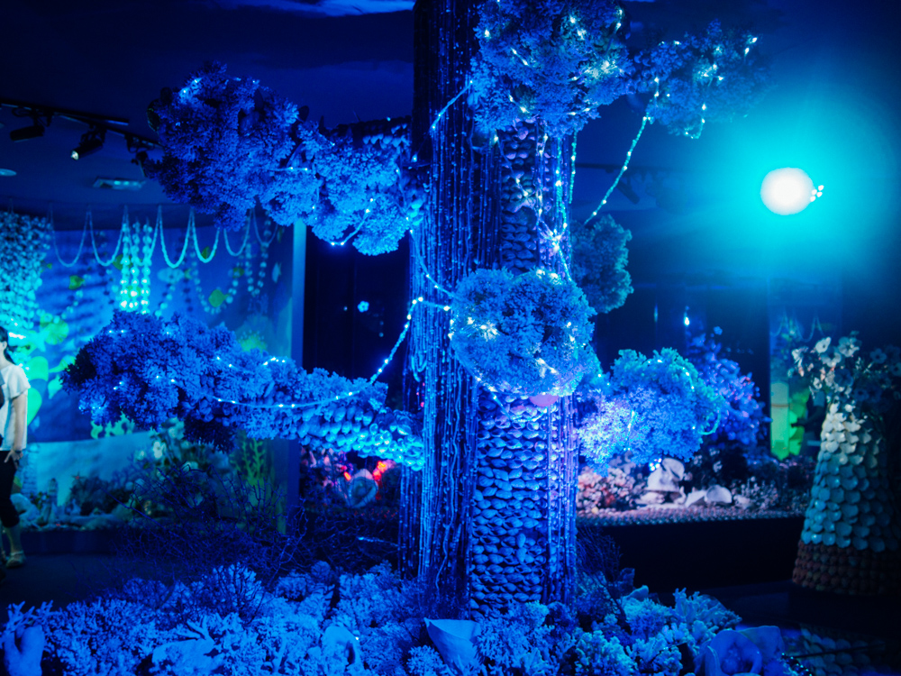 f:id:karaage:20170818110432j:plain:w640