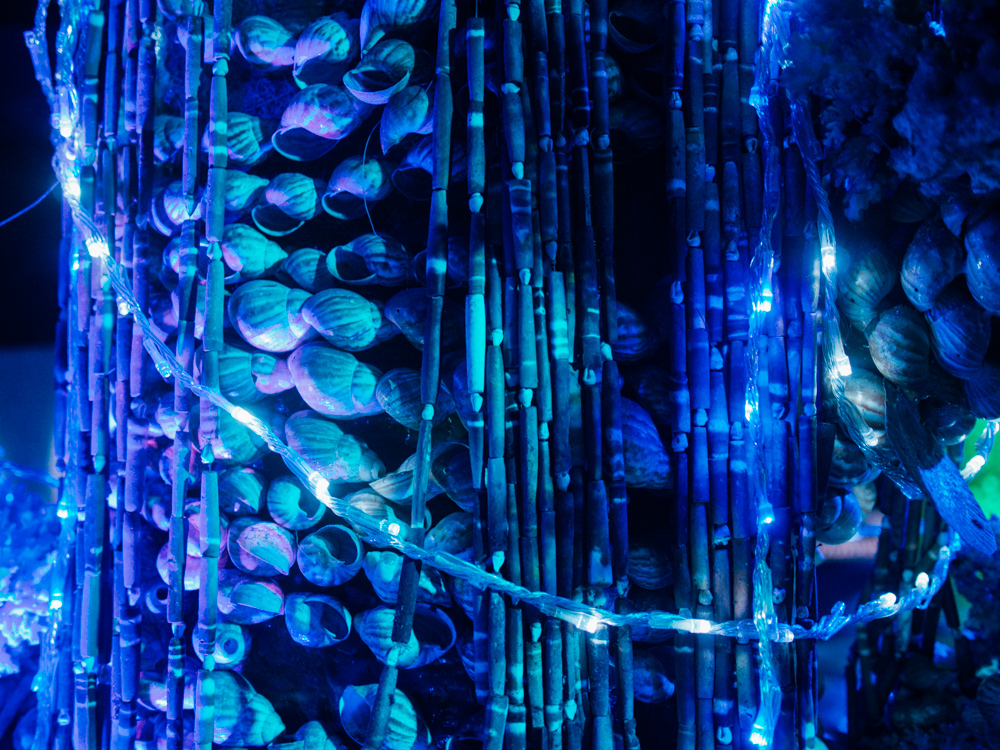 f:id:karaage:20170818110609j:plain:w640