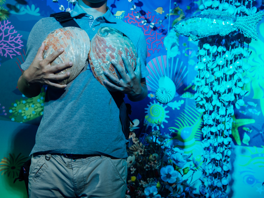 f:id:karaage:20170818110906j:plain:w640