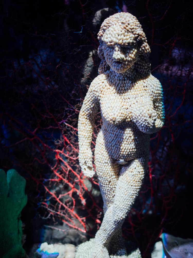 f:id:karaage:20170818111016j:plain:w640