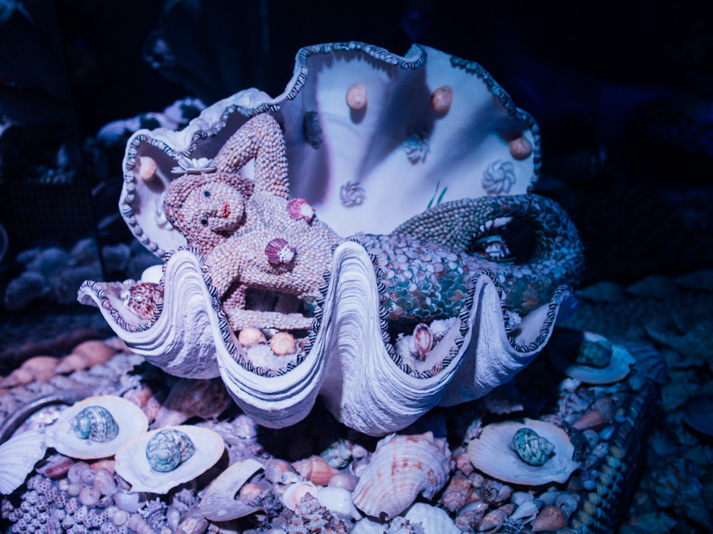 f:id:karaage:20170818111036j:plain:w640