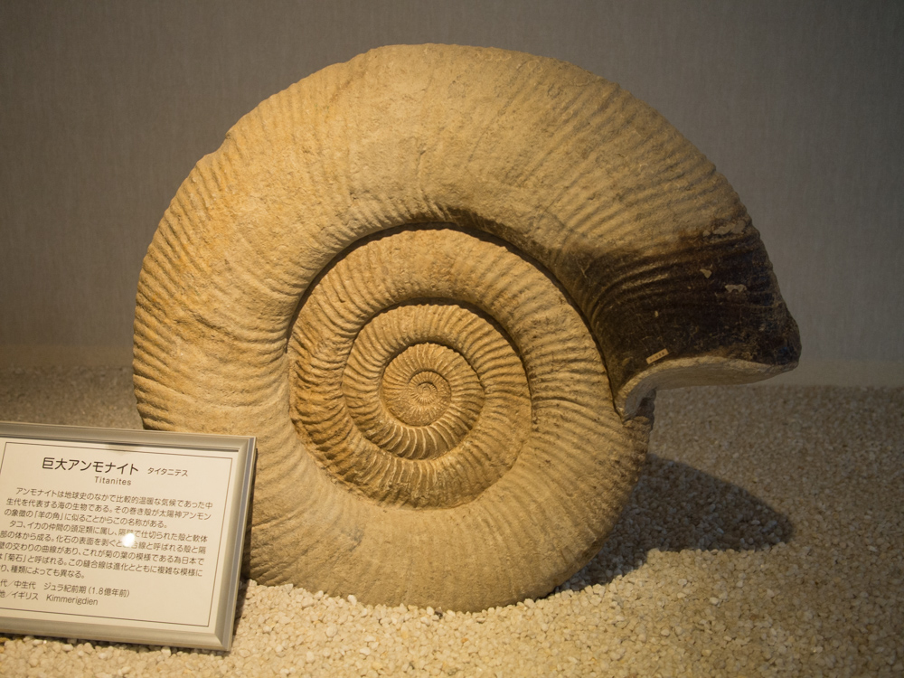 f:id:karaage:20170818113959j:plain:w640