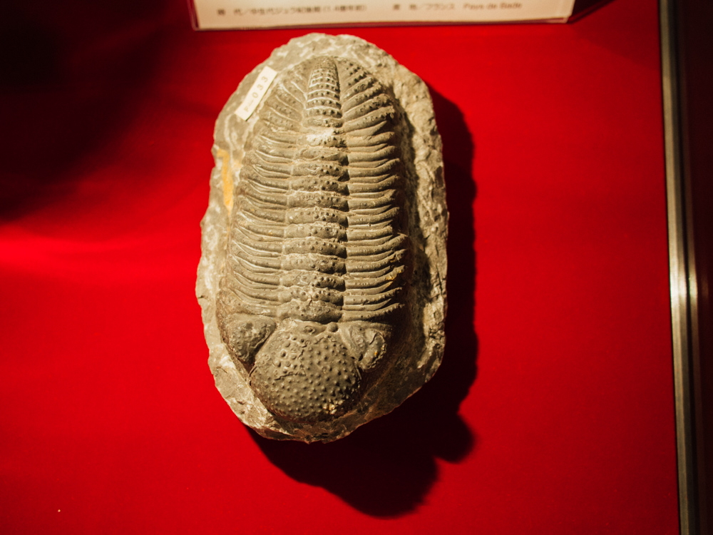 f:id:karaage:20170818114020j:plain:w640