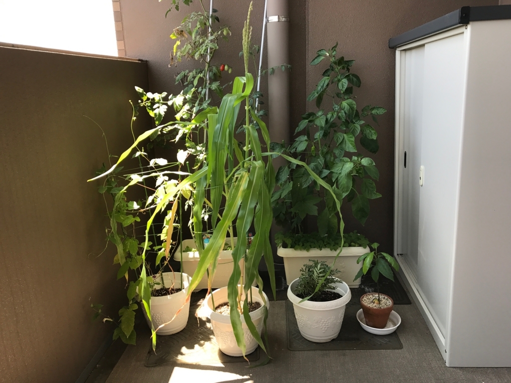 f:id:karaage:20170823004625j:plain:w640 f:id:karaage:20170823004625j:plain:w640