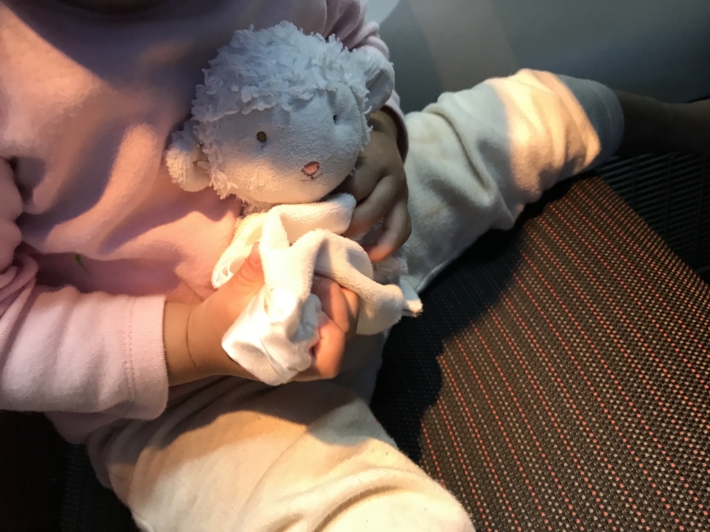 f:id:karaage:20171115094955j:plain:w640