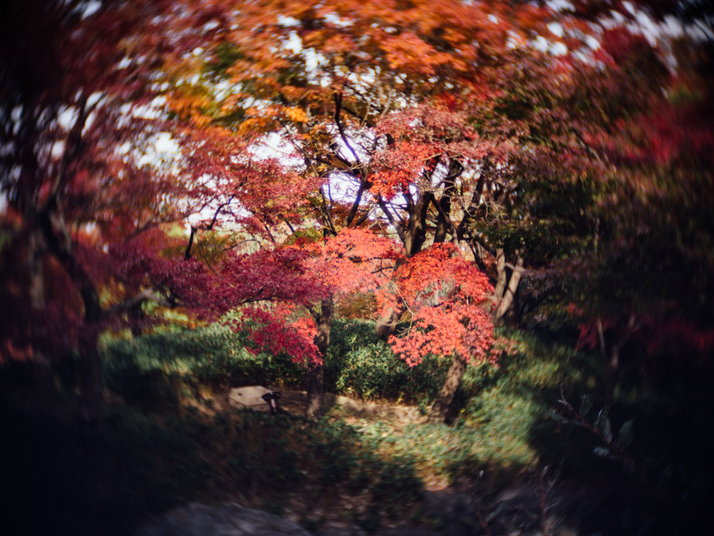 f:id:karaage:20171126133954j:plain:w640