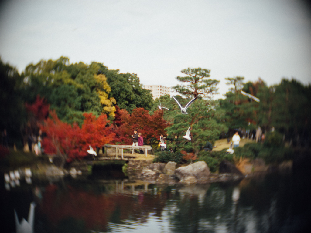 f:id:karaage:20171126141545j:plain:w640