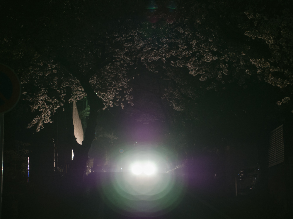 f:id:karaage:20180328232217j:plain:w640