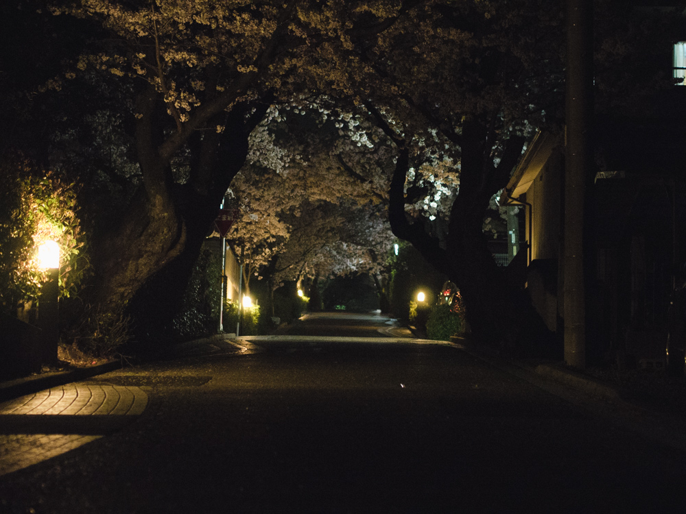 f:id:karaage:20180328233251j:plain:w640