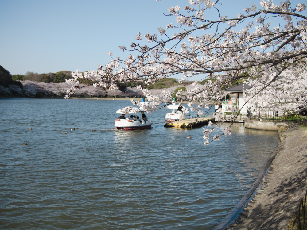 f:id:karaage:20180330161648j:plain:w640