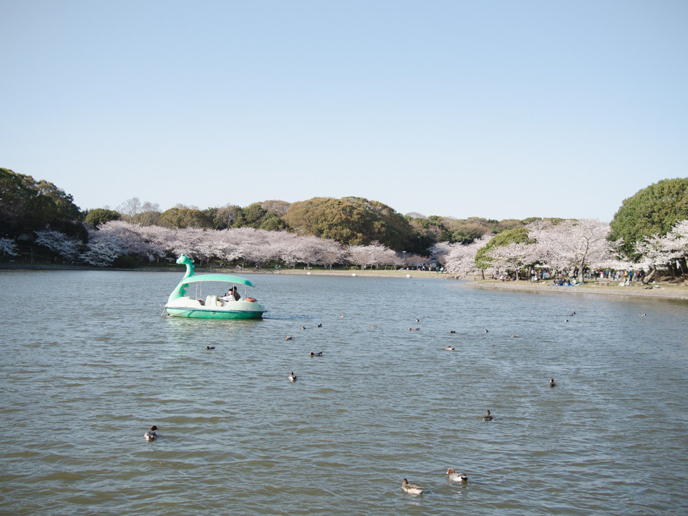 f:id:karaage:20180330161850j:plain:w640