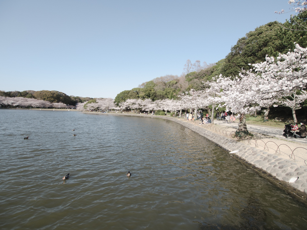 f:id:karaage:20180330161945j:plain:w640