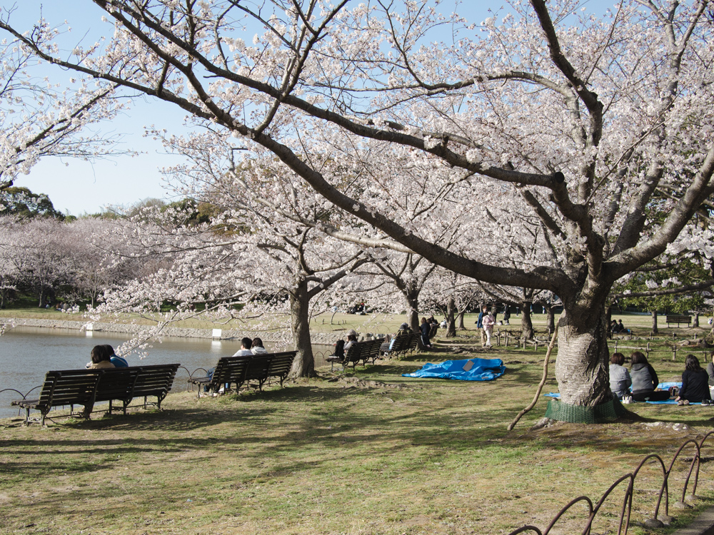 f:id:karaage:20180330162244j:plain:w640