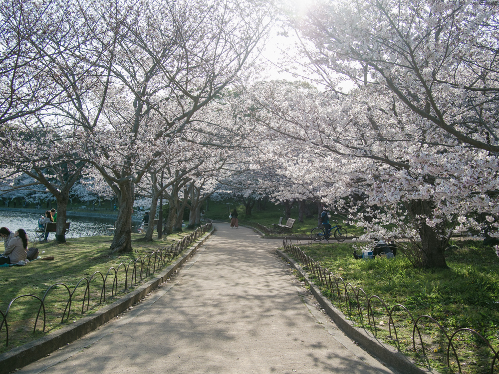 f:id:karaage:20180330162433j:plain:w640