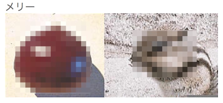 f:id:karaage:20180429181252j:plain:w640