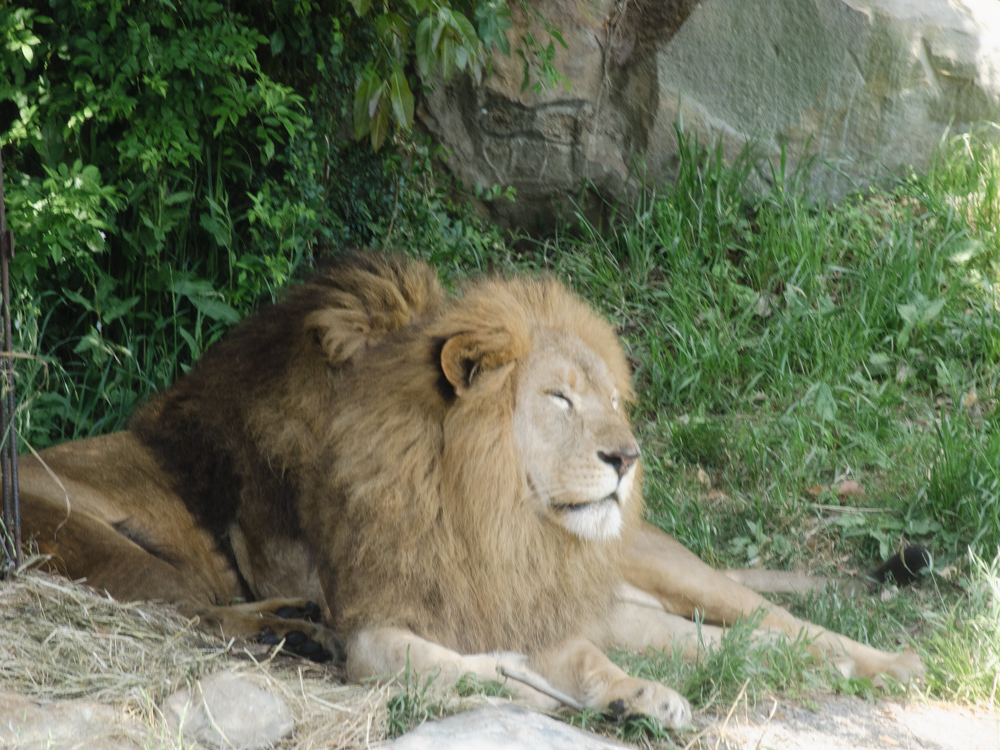 f:id:karaage:20180501102611j:plain:w640 f:id:karaage:20180501102611j:plain:w640