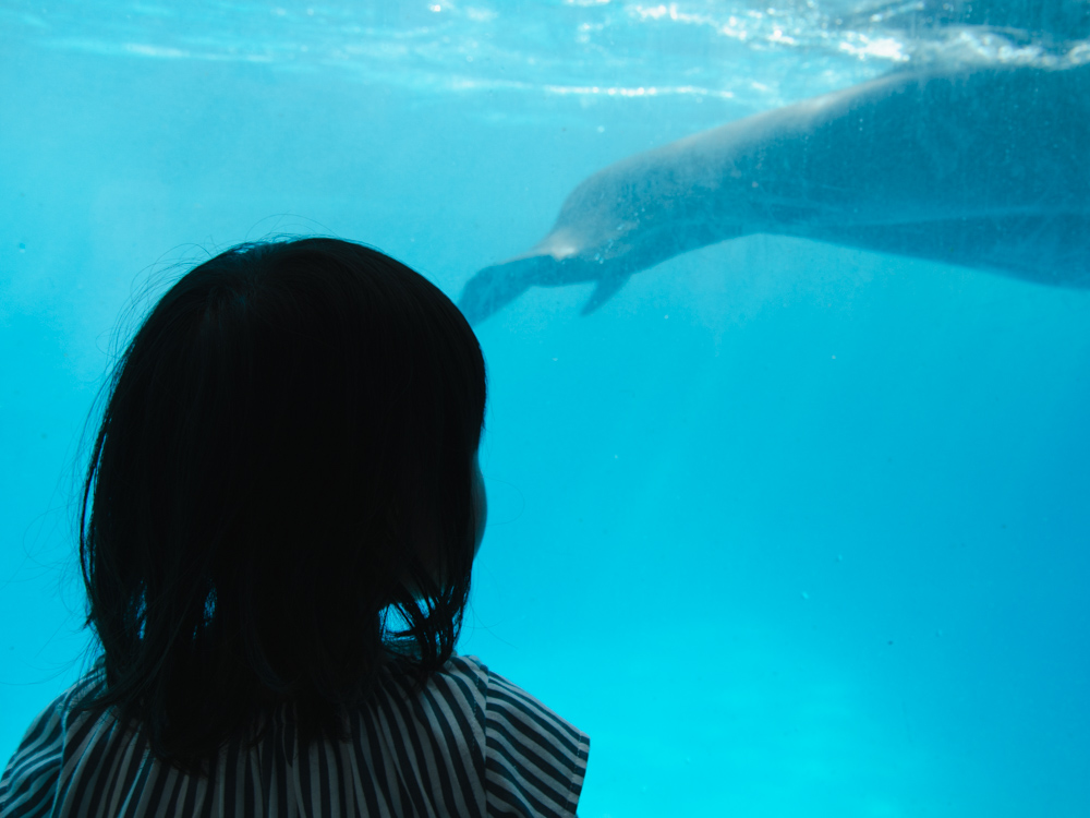 f:id:karaage:20180501152514j:plain:w640 f:id:karaage:20180501152514j:plain:w640