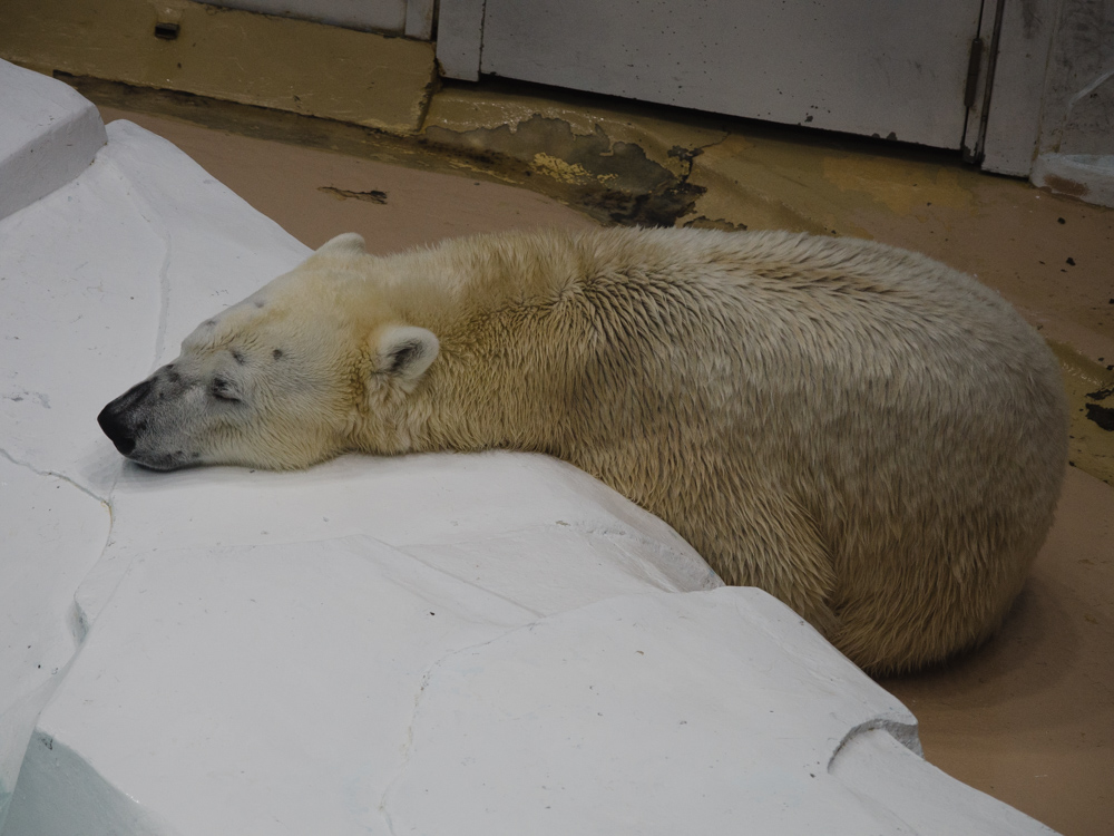 f:id:karaage:20180501174244j:plain:w640 f:id:karaage:20180501174244j:plain:w640