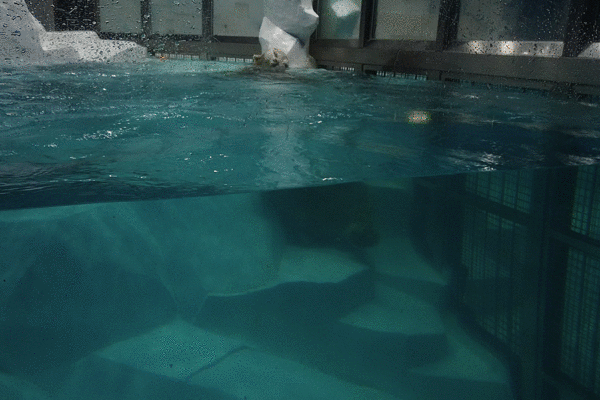 f:id:karaage:20180503130304g:plain:w640 f:id:karaage:20180503130304g:plain:w640