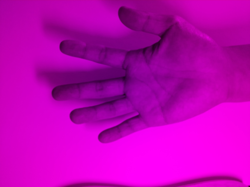 f:id:karaage:20181113004348j:plain:w640