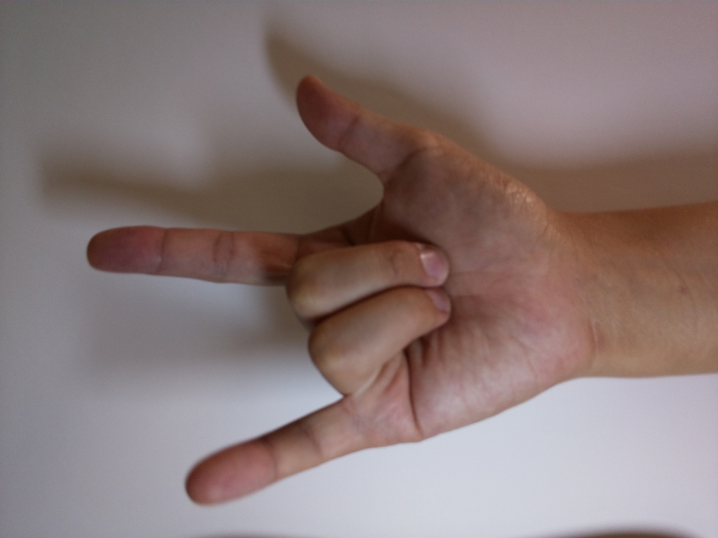 f:id:karaage:20181115005536j:plain:w640